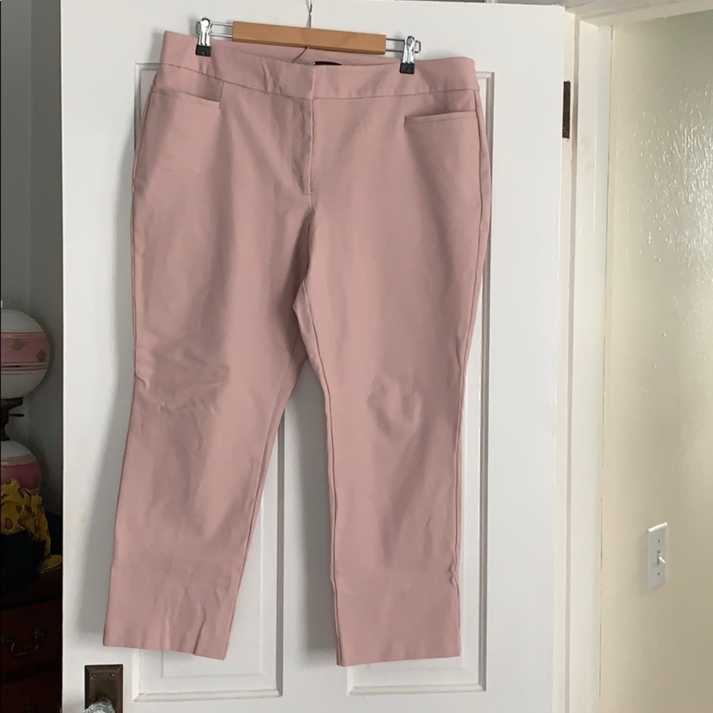 Ann Taylor Ankle Pants